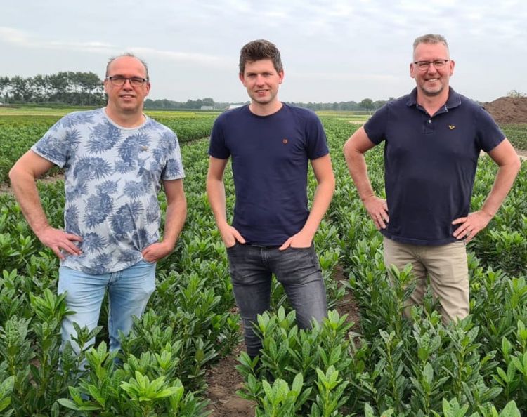 Henk, Loek, Evert